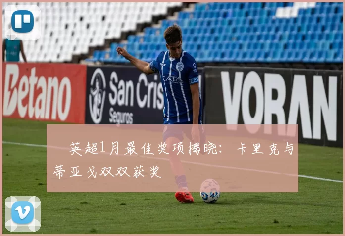 ​英超1月最佳奖项揭晓：卡里克与蒂亚戈双双获奖