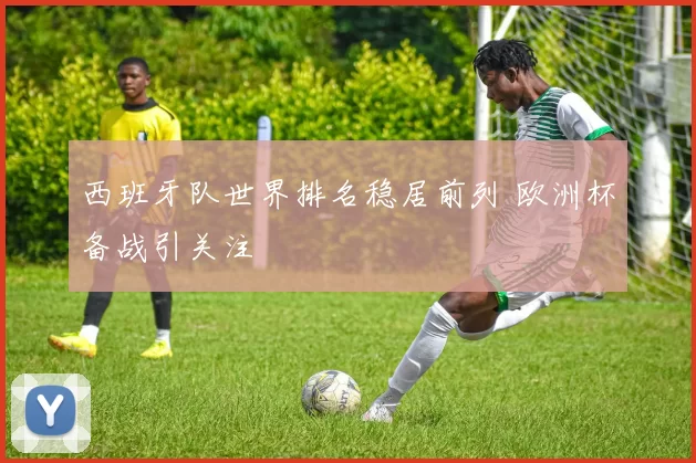 西班牙队世界排名稳居前列 欧洲杯备战引关注