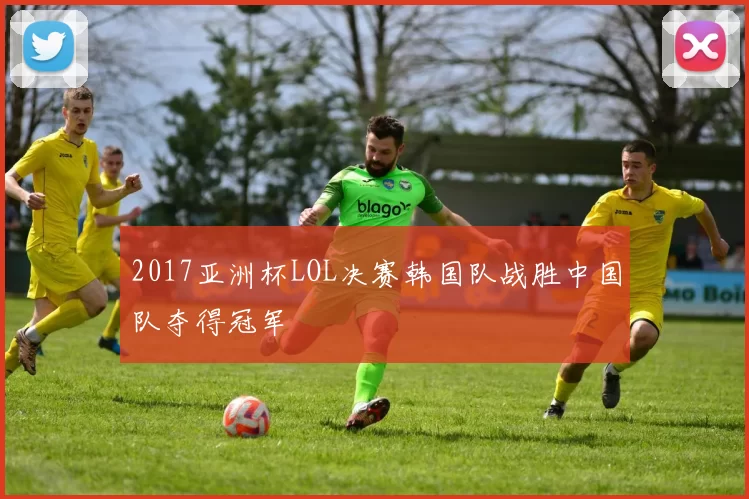 2017亚洲杯LOL决赛韩国队战胜中国队夺得冠军