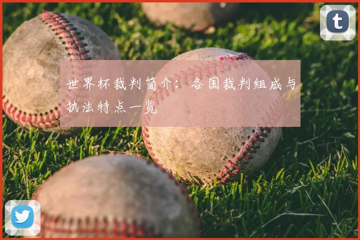 世界杯裁判简介：各国裁判组成与执法特点一览
