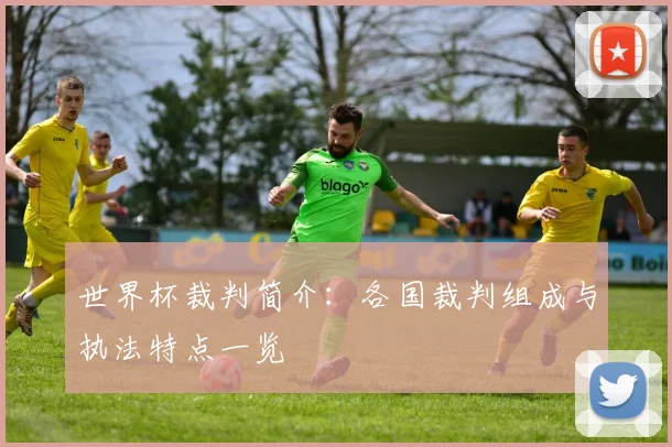世界杯裁判简介：各国裁判组成与执法特点一览