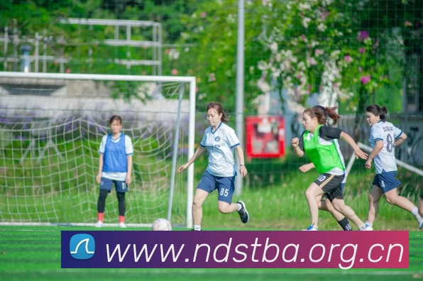 辅助工具 辅助工具